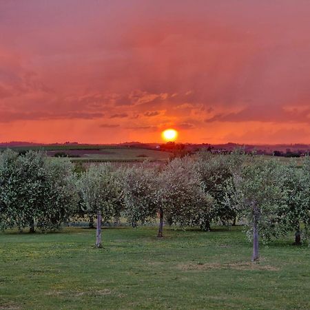 Podere Molinaccio パニカーレ エクステリア 写真