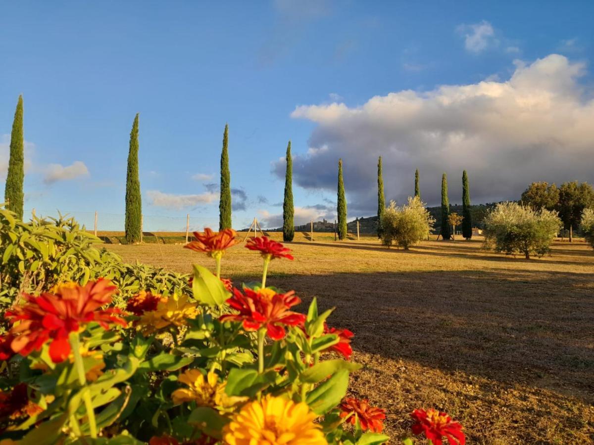 Podere Molinaccio パニカーレ エクステリア 写真