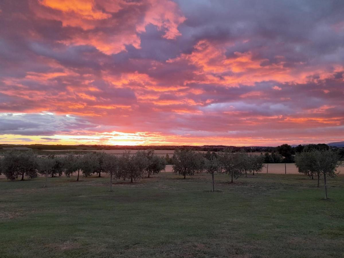 Podere Molinaccio パニカーレ エクステリア 写真