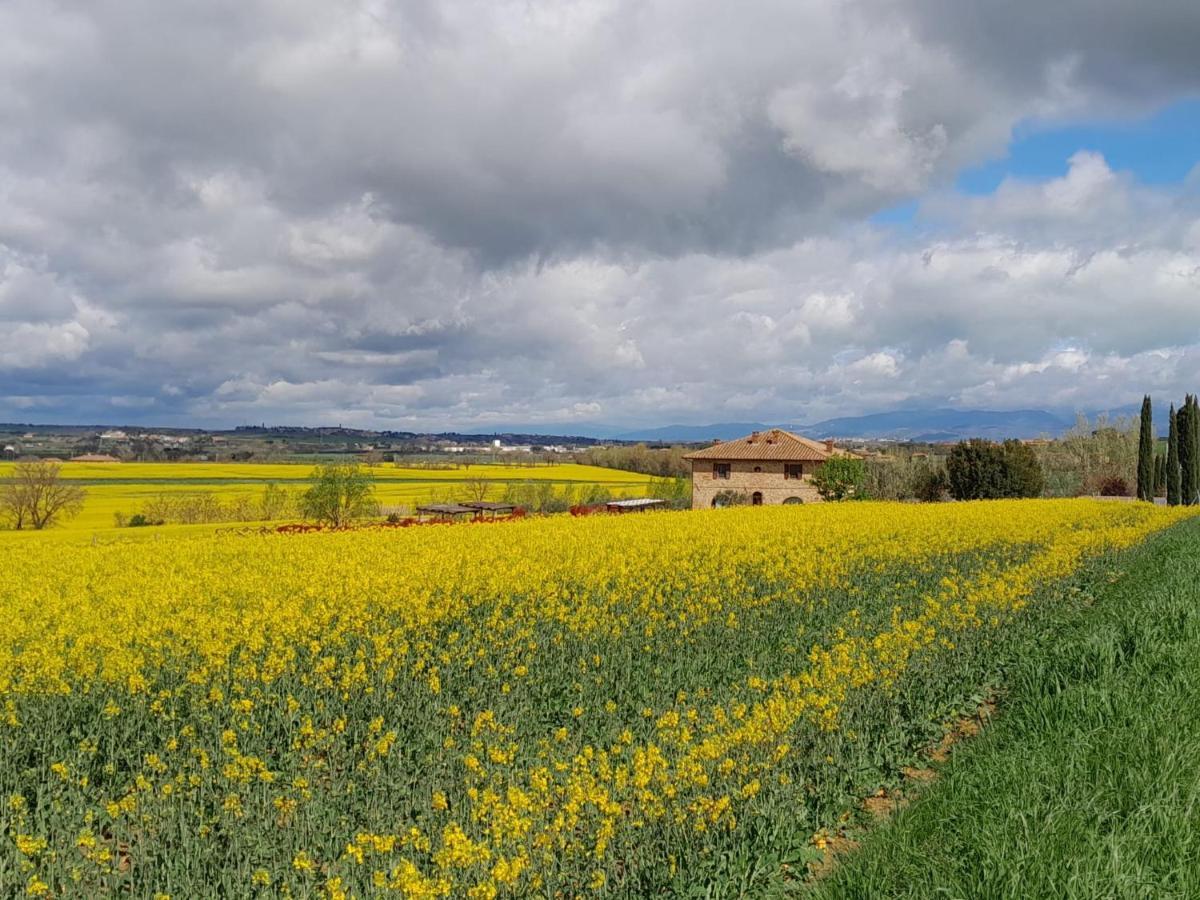 Podere Molinaccio パニカーレ エクステリア 写真