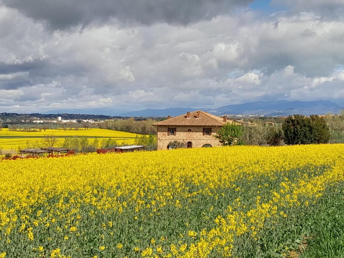 Podere Molinaccio パニカーレ エクステリア 写真