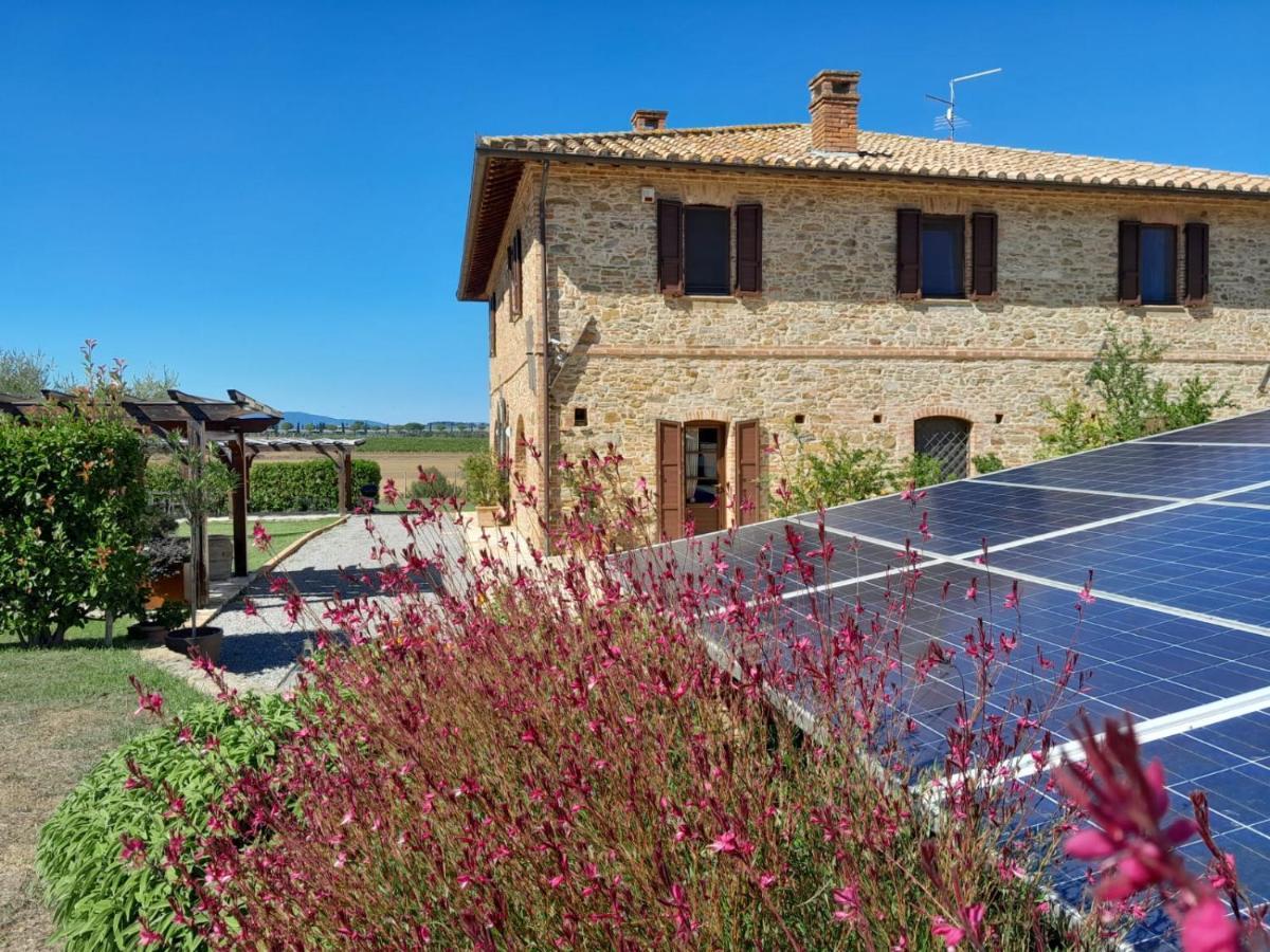 Podere Molinaccio パニカーレ エクステリア 写真