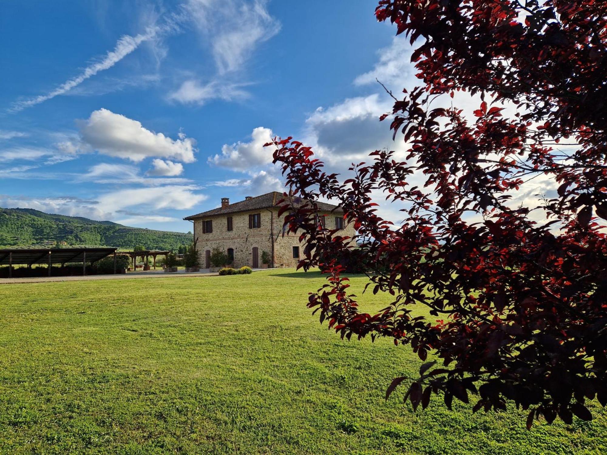 Podere Molinaccio パニカーレ エクステリア 写真