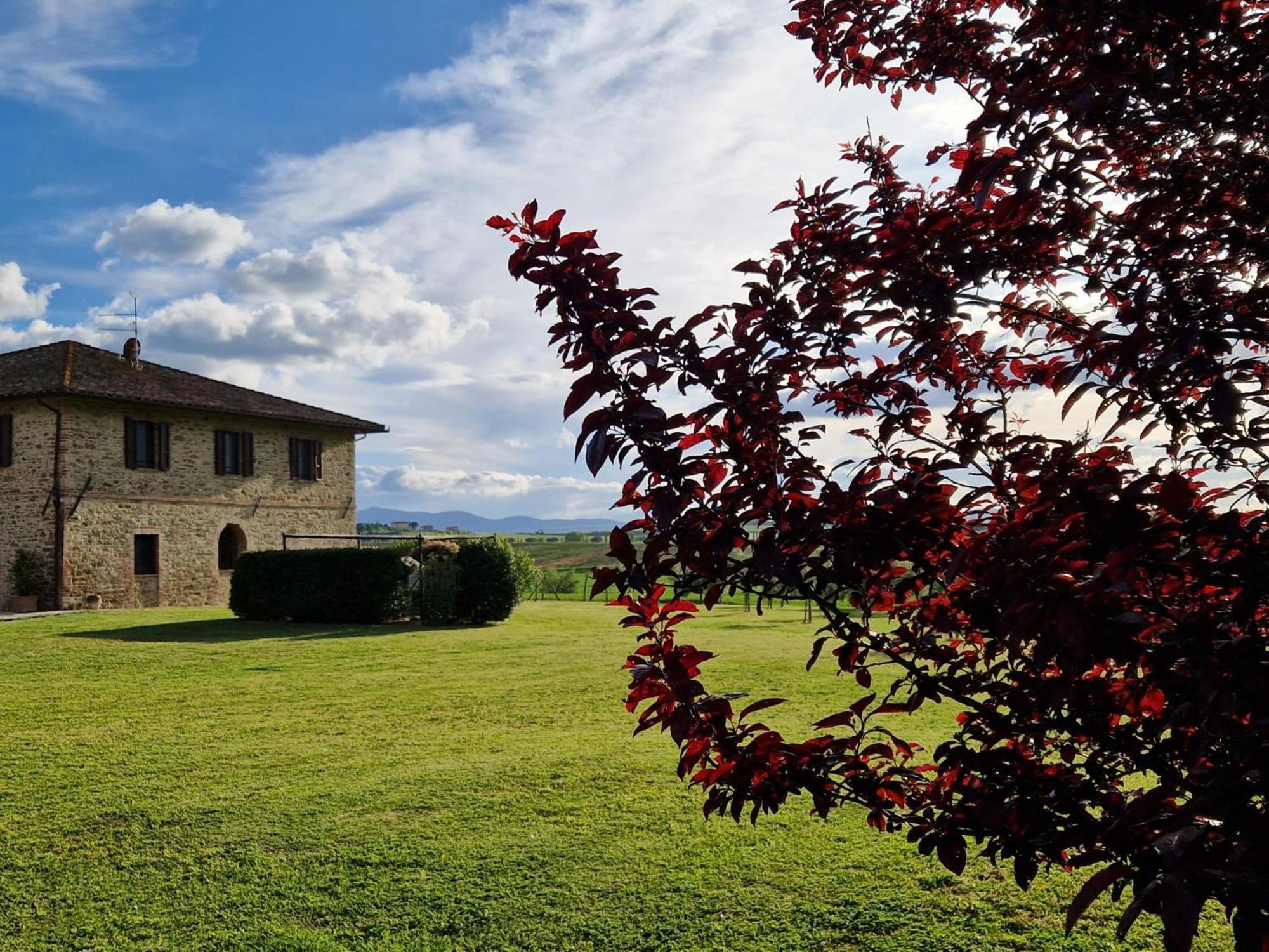 Podere Molinaccio パニカーレ エクステリア 写真
