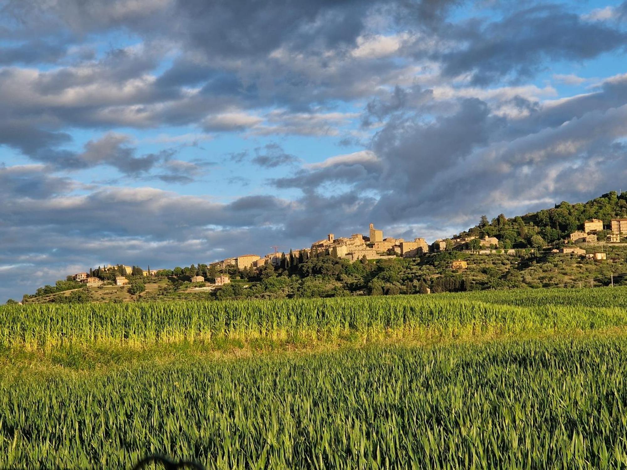 Podere Molinaccio パニカーレ 部屋 写真