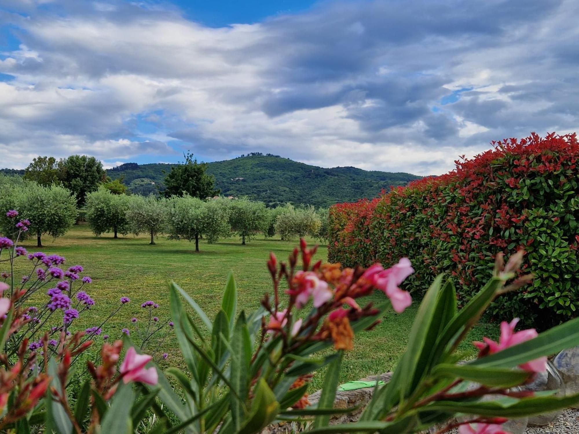 Podere Molinaccio パニカーレ エクステリア 写真