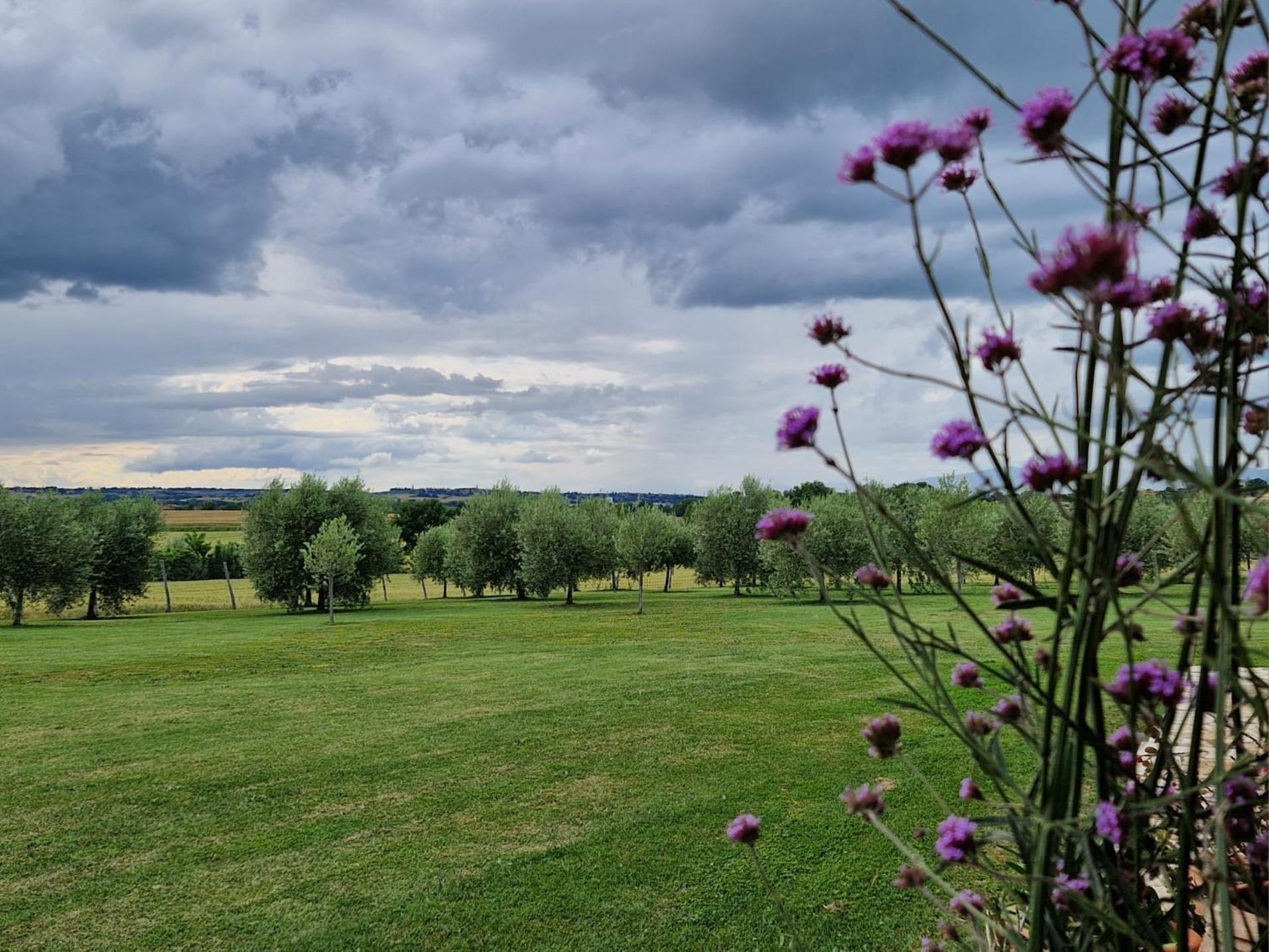 Podere Molinaccio パニカーレ エクステリア 写真
