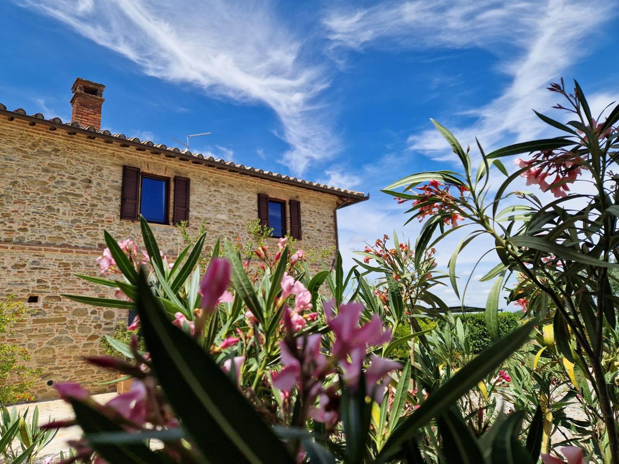 Podere Molinaccio パニカーレ エクステリア 写真