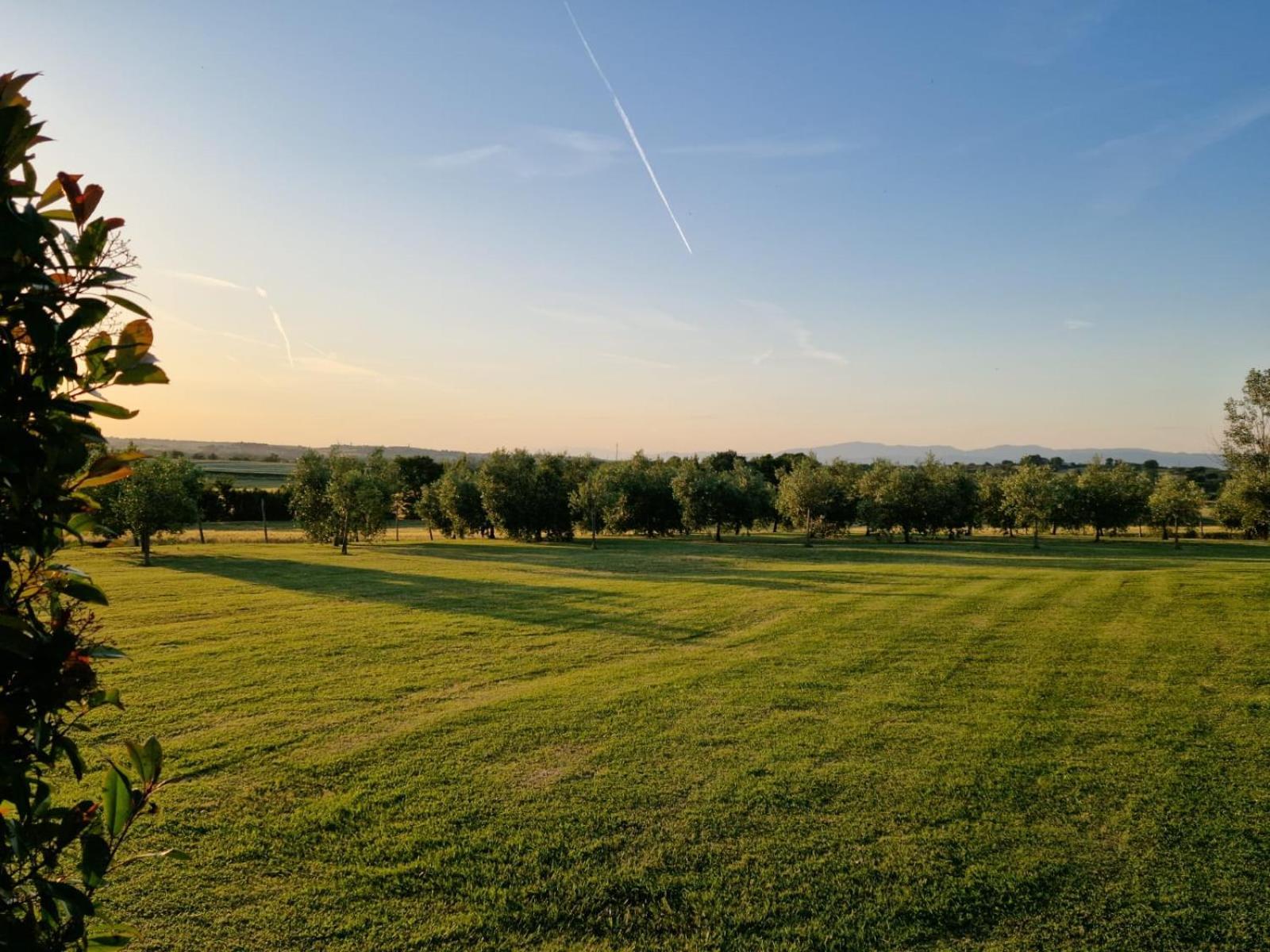 Podere Molinaccio パニカーレ エクステリア 写真