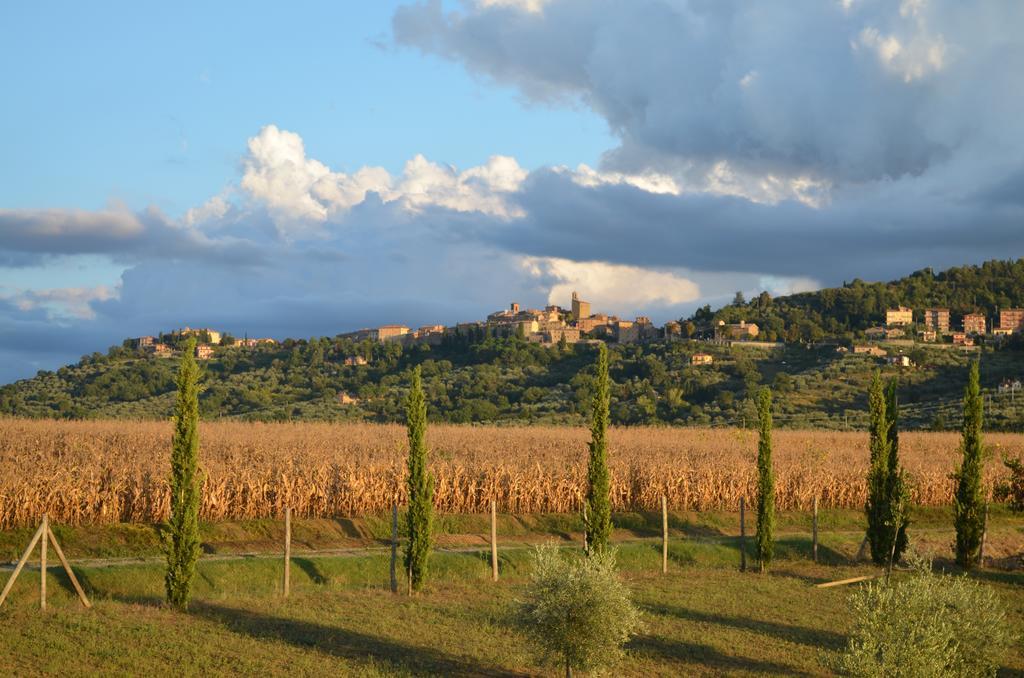 Podere Molinaccio パニカーレ 部屋 写真